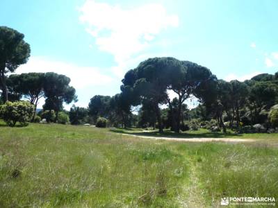 Miradores del Embalse de San Juan_Cerro San Esteban; cañon del rio guadalix cañon del guadalix bosqu